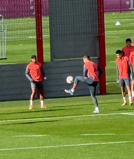 包含拜仁绝地反击日本，格纳布里爆发神勇的词条