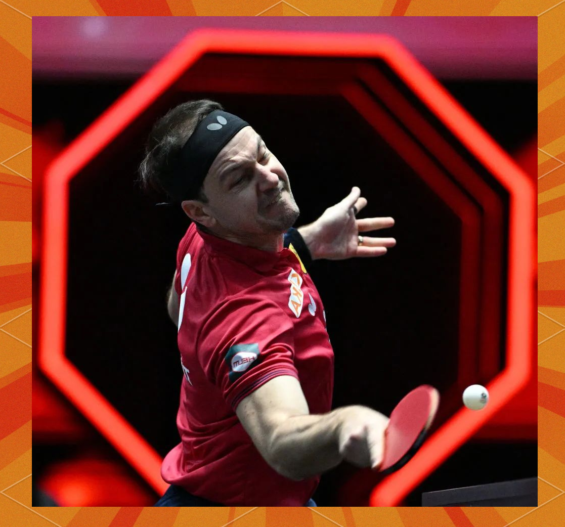 法国乒乓球队绝地反击比利时乒乓球队，波尔高光表现的简单介绍