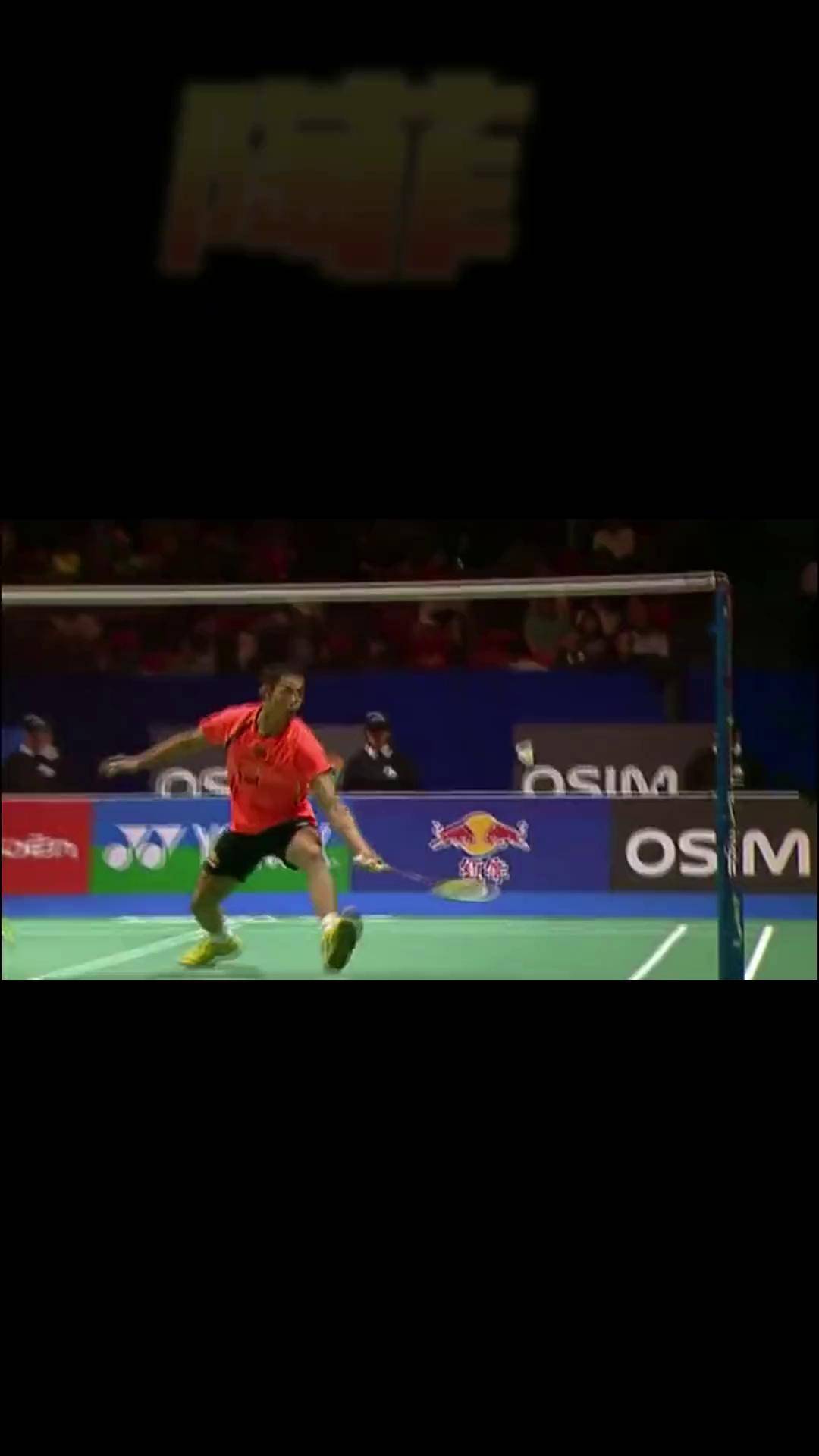 日本羽毛球队血洗印尼羽毛球队，陶菲克统治全场的简单介绍
