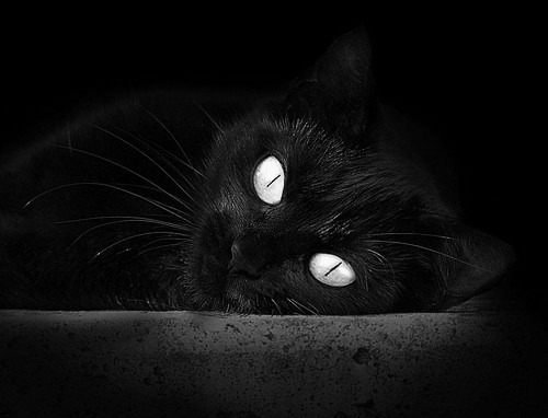 李刚仁，大场面先生！塞内加尔对阵墨西哥，亚洲之光的全球舞台时刻