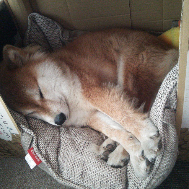 世界杯之夜,久保建英的攻防转换艺术