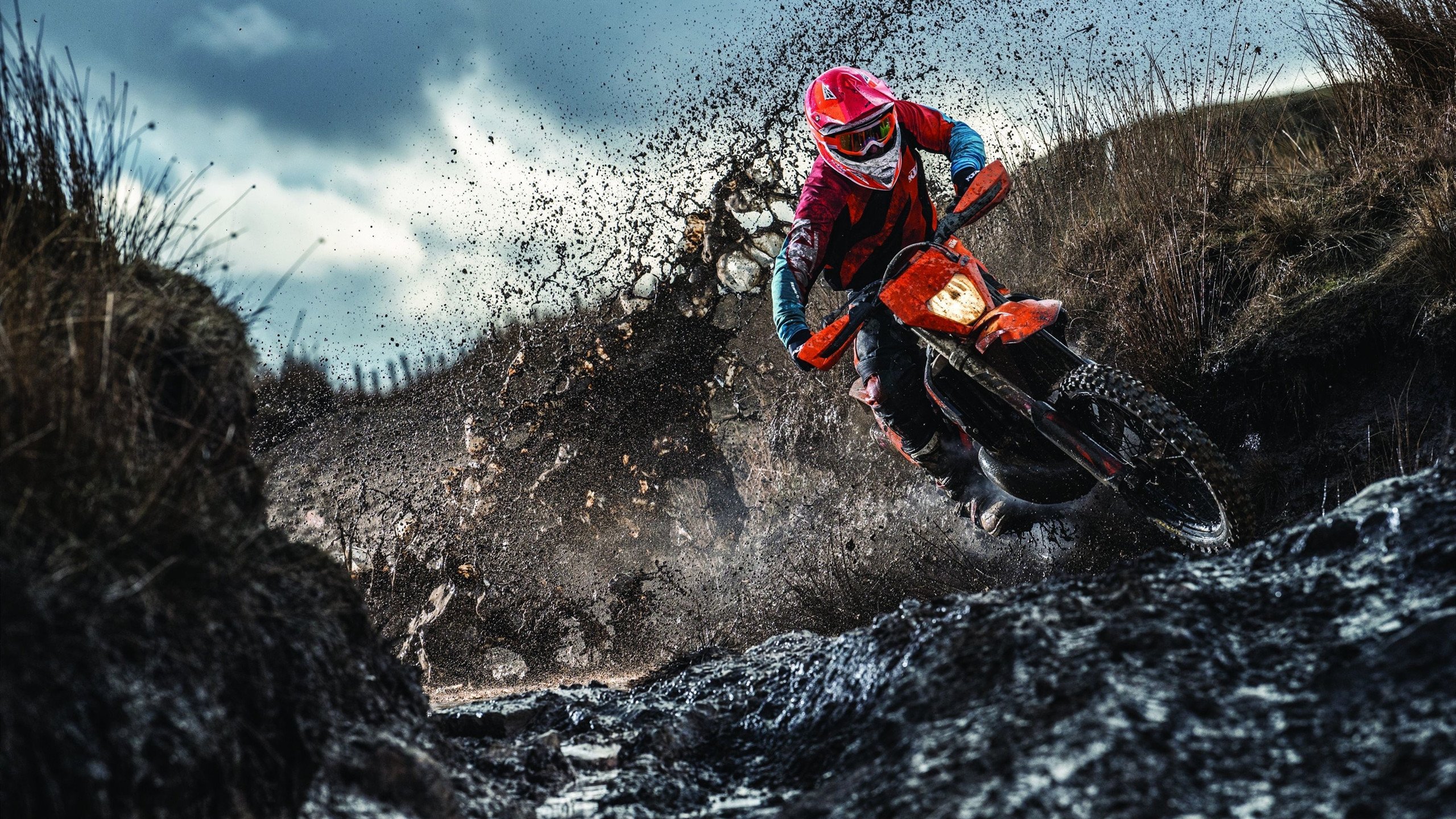 年度焦点之战之夜,阿尔瓦雷斯,硬仗之王